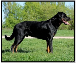 b55be2fb-97d8-b0a4-111f-c66a0f2a0f0c