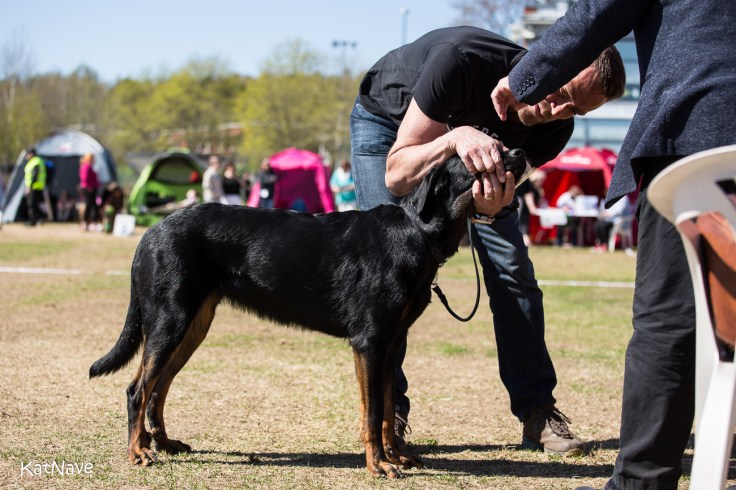 Flower Rock's night Fly 20180510 Pk-tapahtuma-480 (1)
