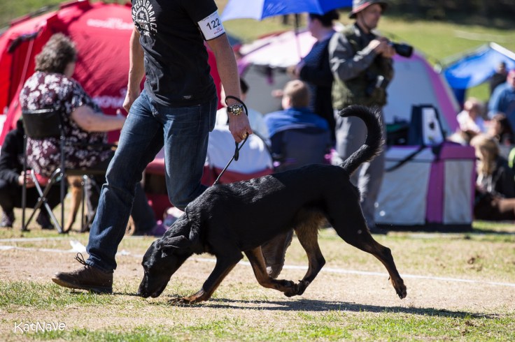 Flower Rock's Night Fly 20180510 Pk-tapahtuma-485 (1)