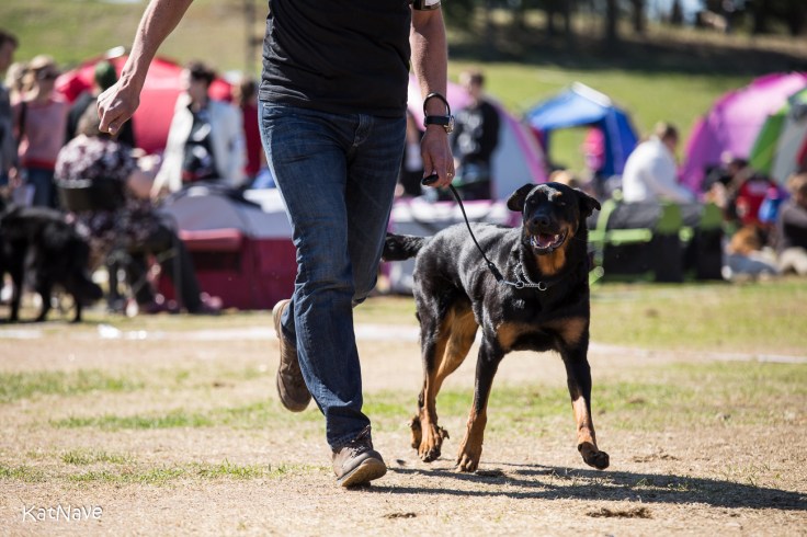 Moisionmäen Imelda 20180510 Pk-tapahtuma-667