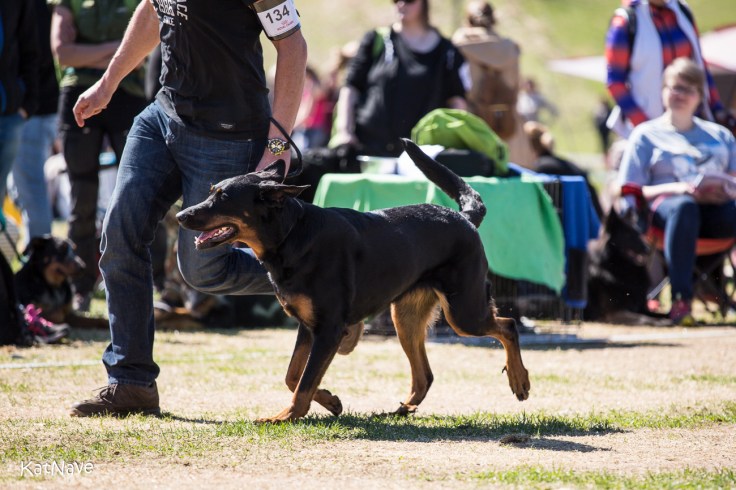 Moisionmäen Imelda 20180510 Pk-tapahtuma-671