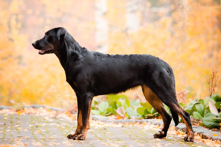 Noomi profiili_MG_3275