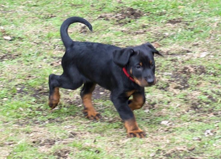 Nilla3
